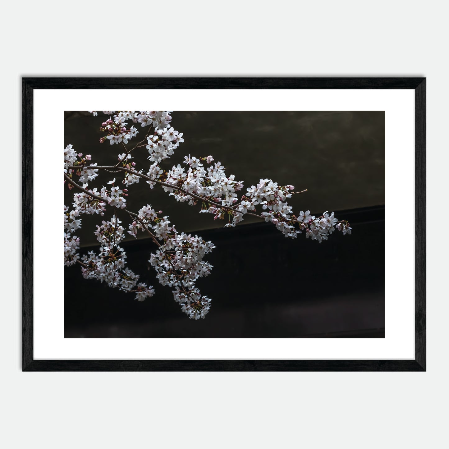 Cherry Blossoms by Hugh Benson, High Quality Framed Photographic Print