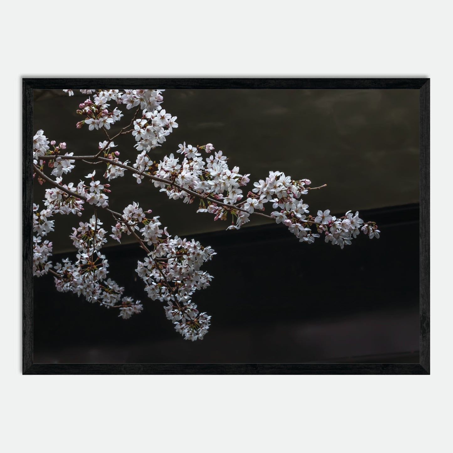 Cherry Blossoms by Hugh Benson, High Quality Framed Photographic Print