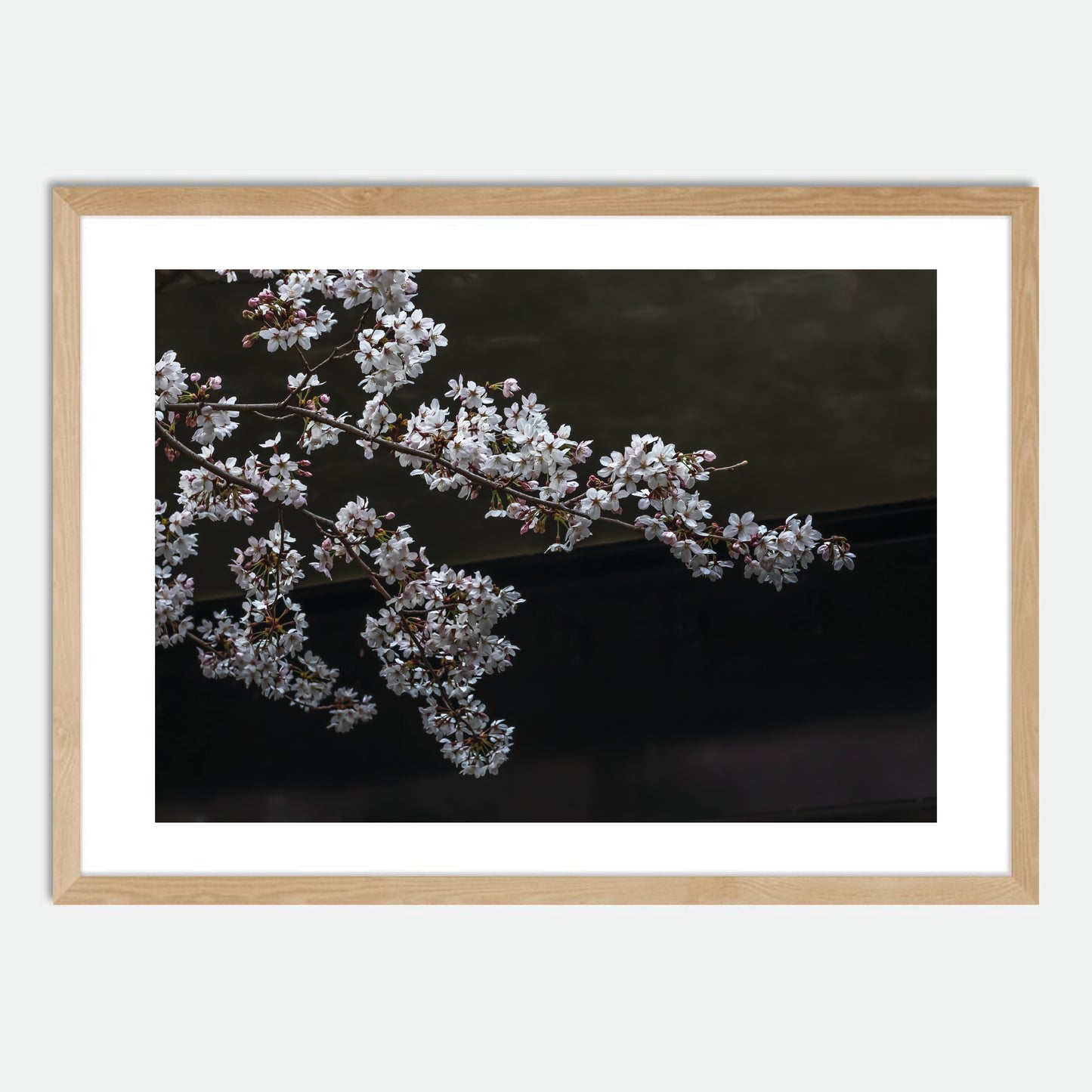 Cherry Blossoms by Hugh Benson, High Quality Framed Photographic Print