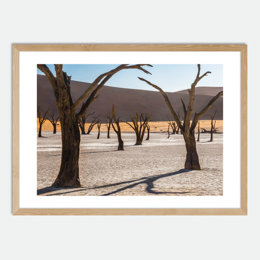 Deadvlei by Hugh Benson, High Quality Framed Photographic Print
