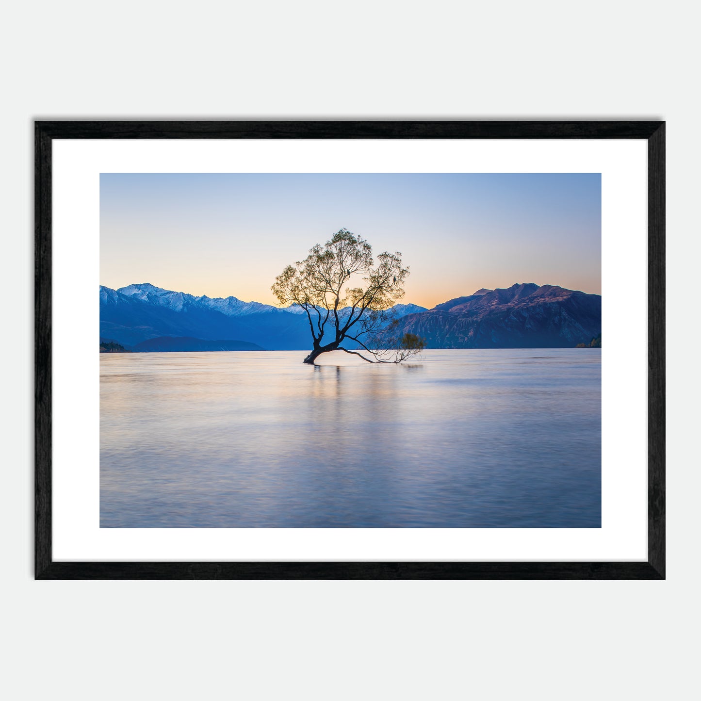 Wanaka Willow by Hugh Benson, High Quality Framed Photographic Print