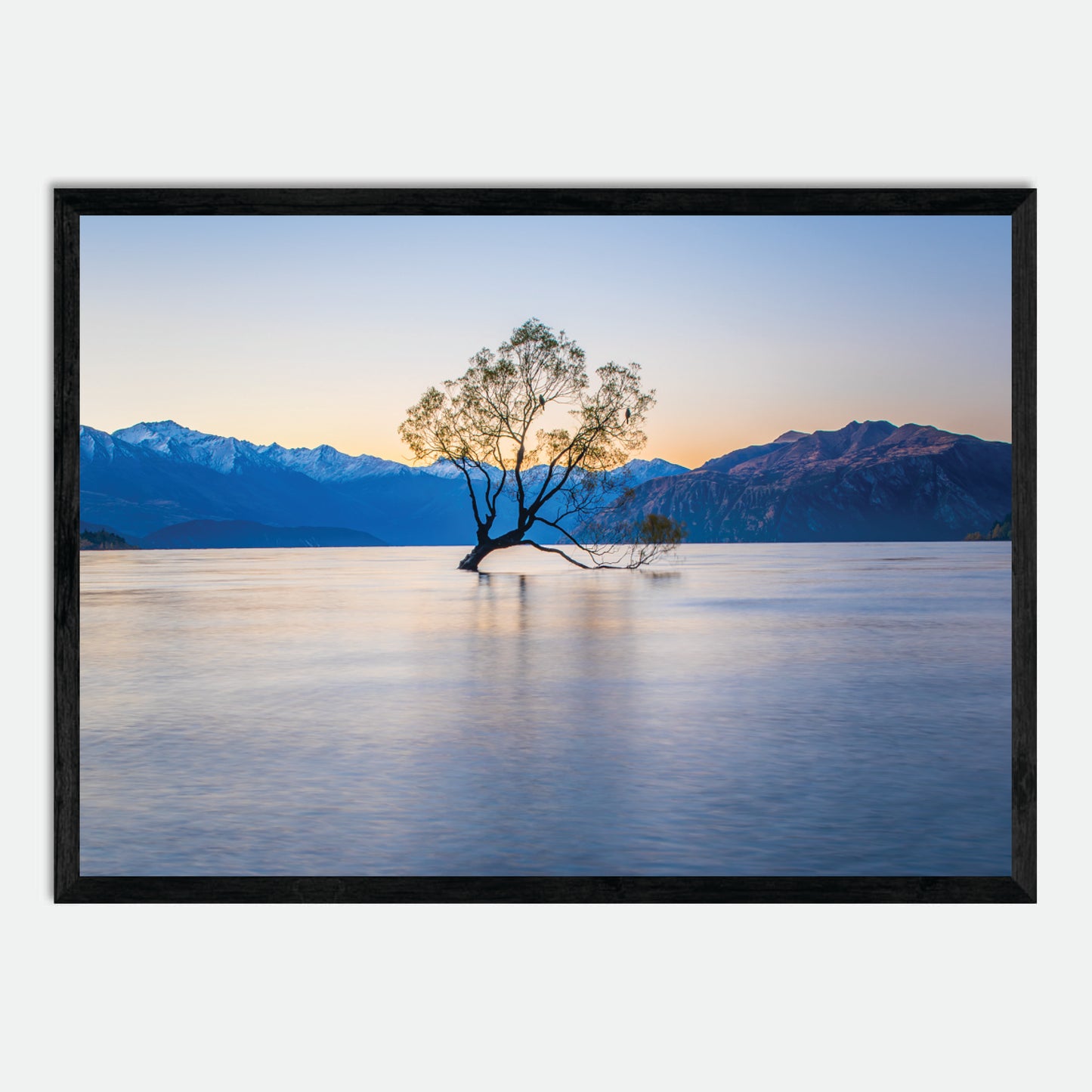 Wanaka Willow by Hugh Benson, High Quality Framed Photographic Print