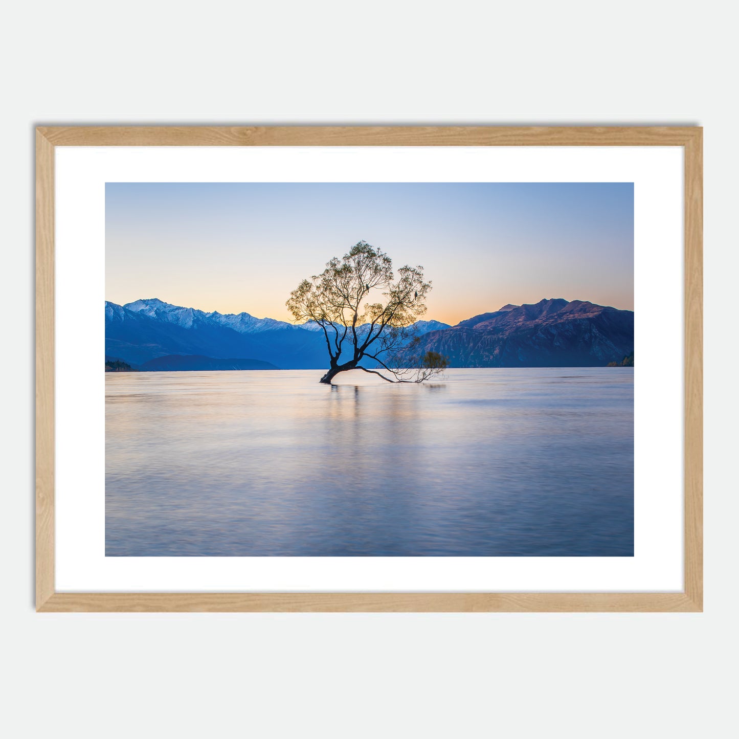 Wanaka Willow by Hugh Benson, High Quality Framed Photographic Print