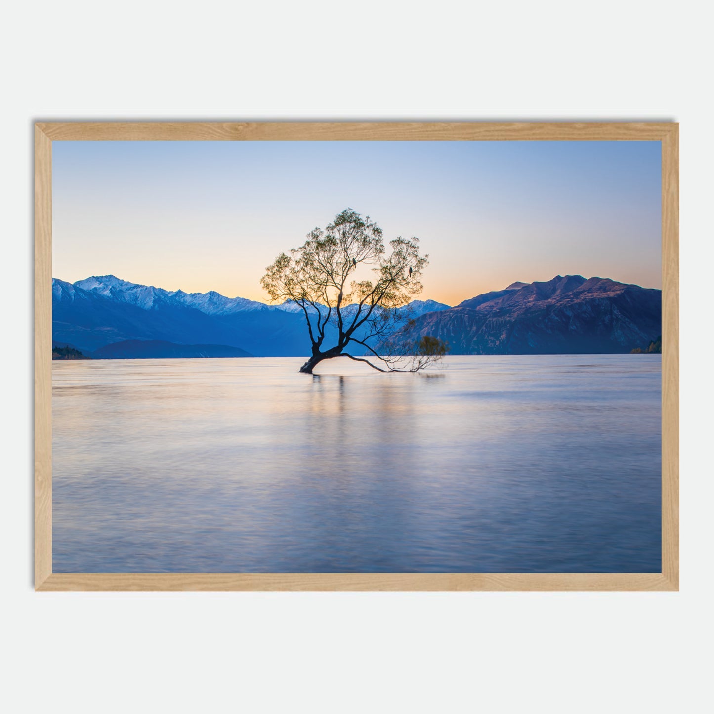 Wanaka Willow by Hugh Benson, High Quality Framed Photographic Print