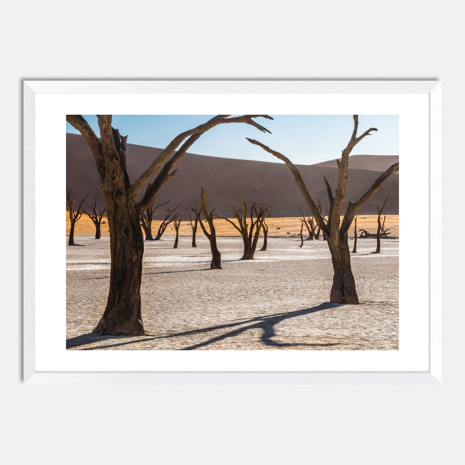 Africa