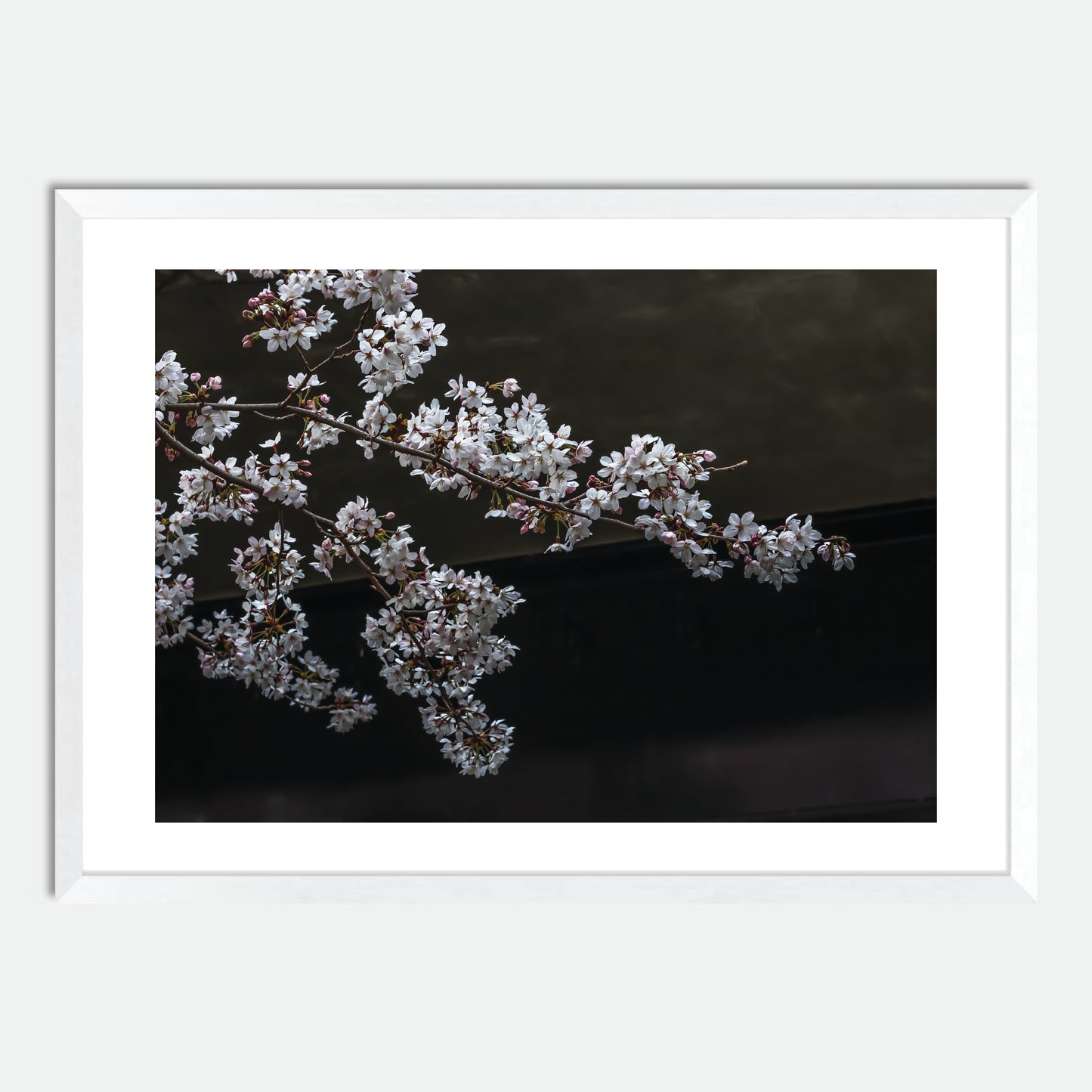 Cherry Blossoms by Hugh Benson, High Quality Framed Photographic Print
